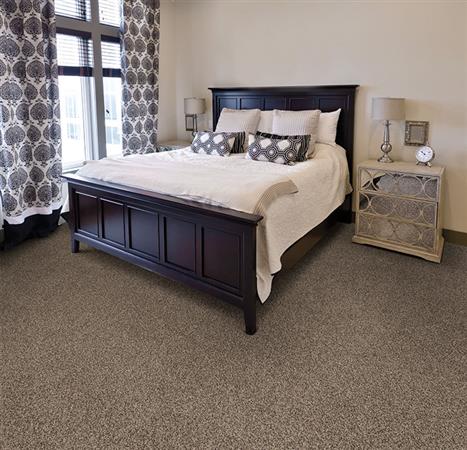 Chromatic Touch in Marshland Carpet