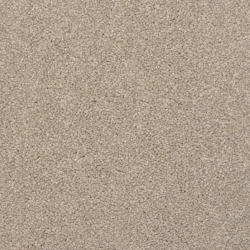 Alluring in Driftwood Carpet
