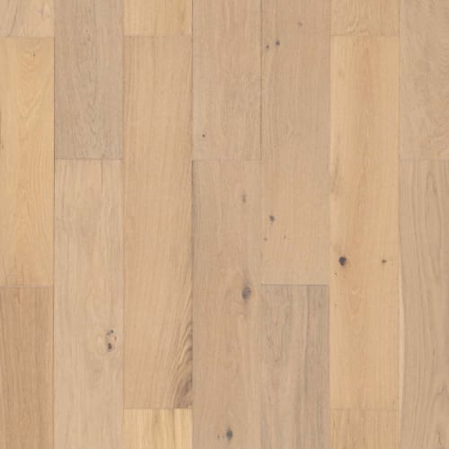 Castillian Cottage in North Shore Hardwood