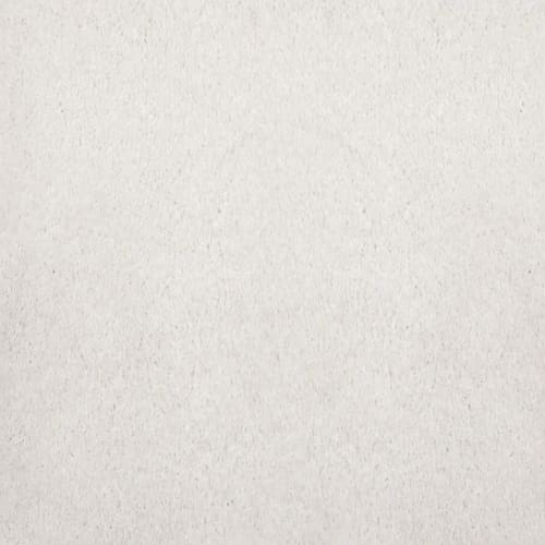 Noble in Alabaster Carpet