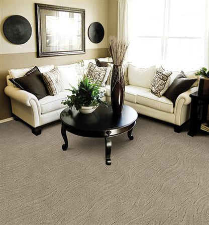 Taittinger in Rushmore Carpet