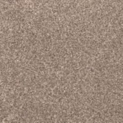 Bold Creation in Southwest Carpet