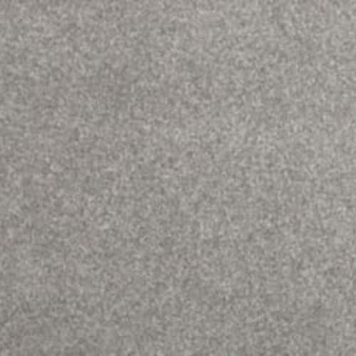 Refreshing Charm in Magnetic Carpet