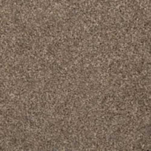 Color Classics I in Gravity Carpet