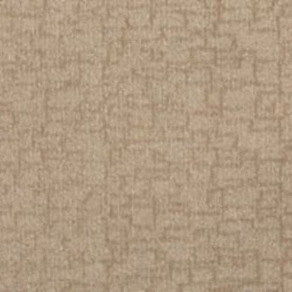Urbane Glow in Champagne Carpet