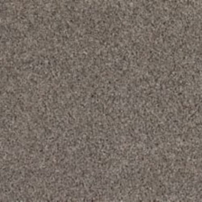 Soft Tempo I in Retreat Carpet