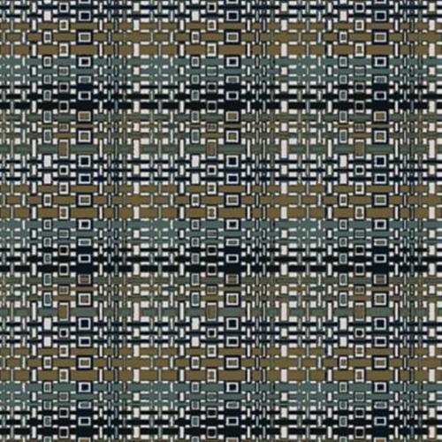 Edmunds 2B144 in T0216806e Carpet