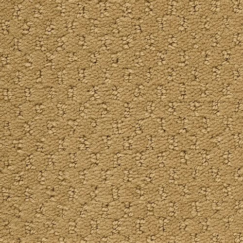 Classic Update in Golden Nectar Carpet