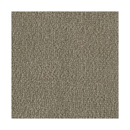 Influencer 30 in Mesa Taupe Carpet