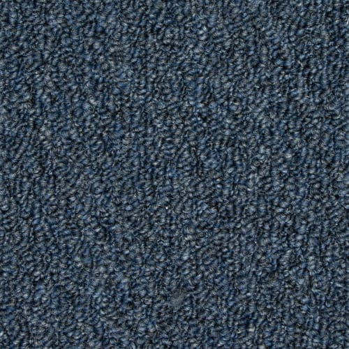 Front & Center in Cobalt Carpet
