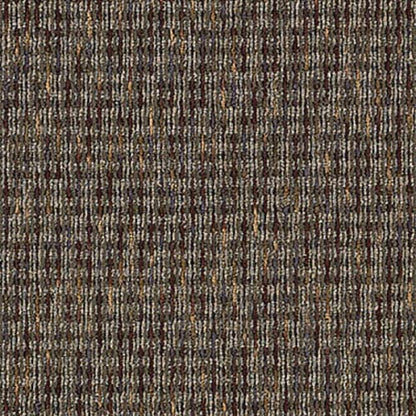 Inspiring Moment in Absolute Best Carpet