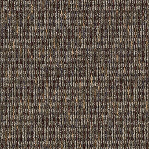 Inspiring Moment in Absolute Best Carpet