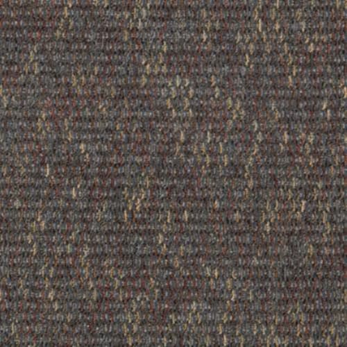 Astonishing View in Fancy Forward Carpet