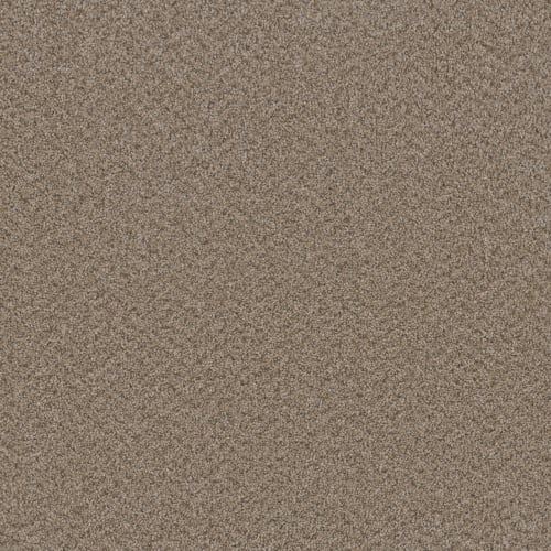 Broadcast in Almond Carpet