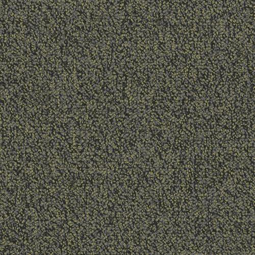 Chivalry 26 in Generous Carpet
