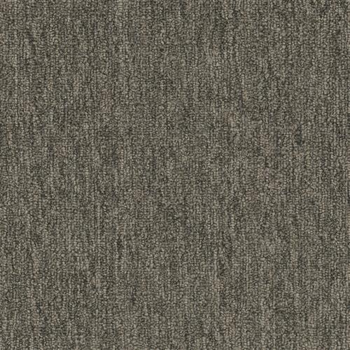 Quicksilver 26 in Platinum Carpet