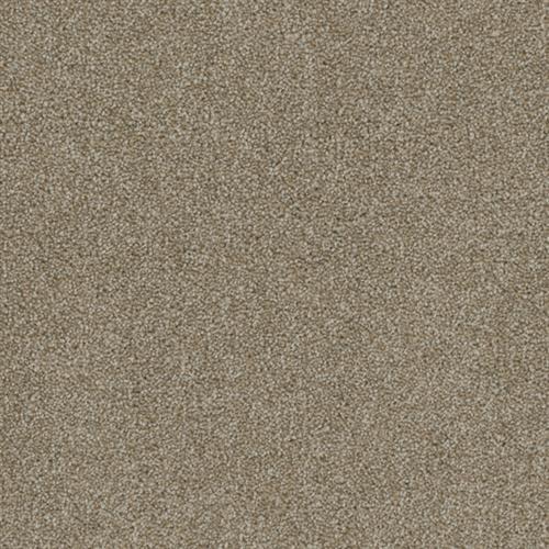 Terrain in Vista Carpet