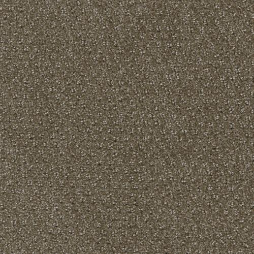 Domain in Habitat Carpet