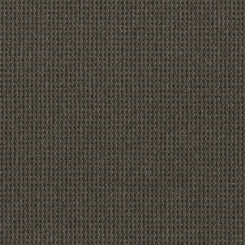 Backroads in Adventure Carpet
