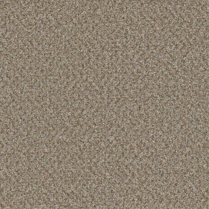 BROADCAST PLUS