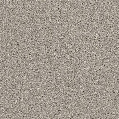 BROADCAST PLUS in Silver Birch Carpet