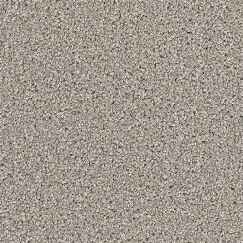 BROADCAST PLUS in Silver Birch Carpet