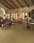 Veranda in Toasted Almond Carpet