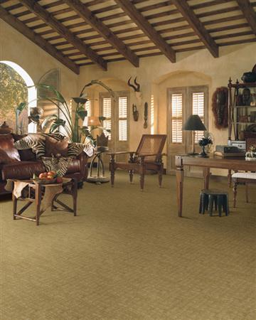 Veranda in Sunstone Carpet