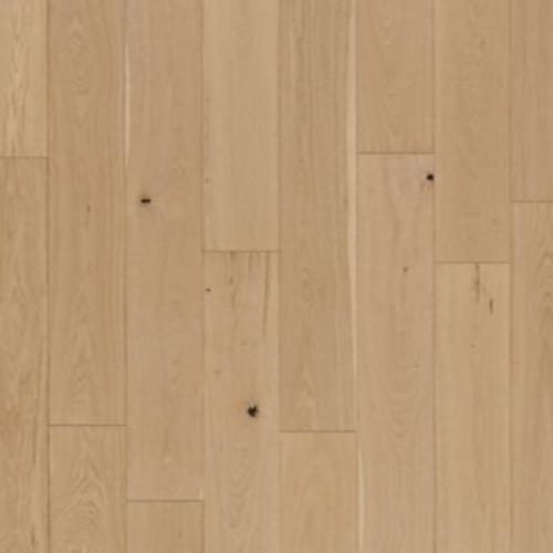 Collington in Champagne Oak Hardwood