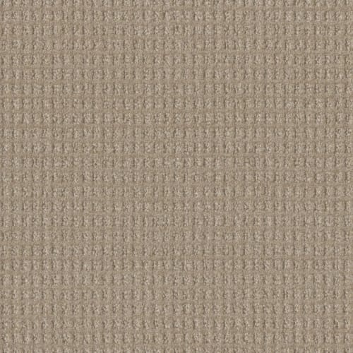 Perfect Balance in Light Wheat Carpet