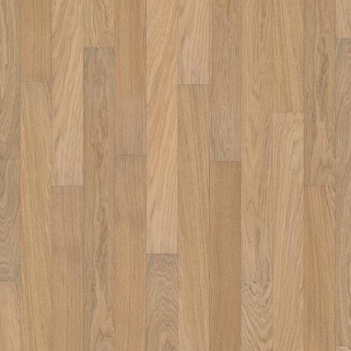 Living Collection in Oak Shitake Hardwood