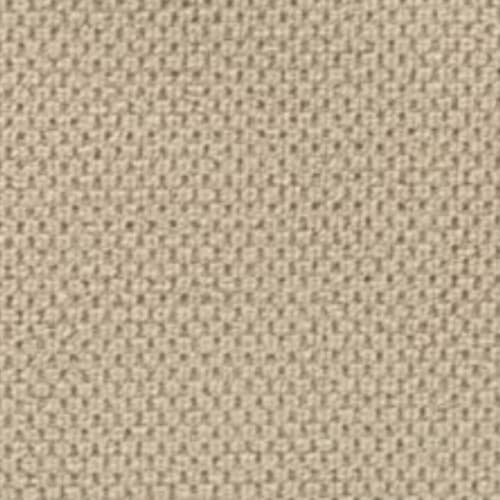 Remarkable Quality in Sandcastle Carpet