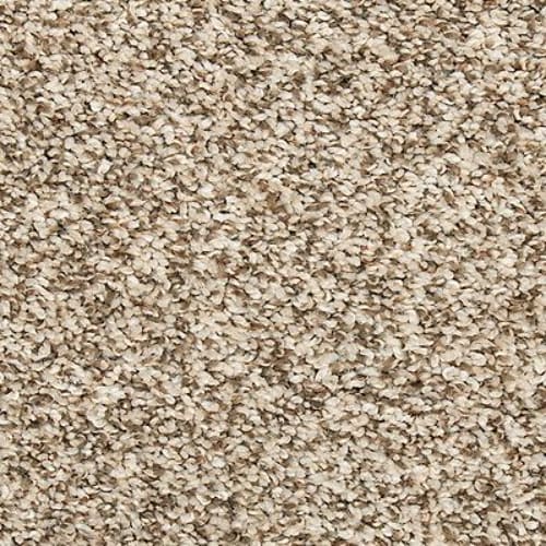Vitalize I in Elk Beige Carpet