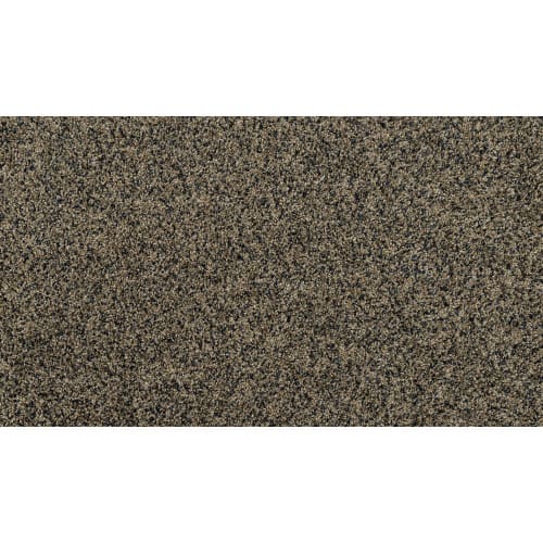 Purrsonality Ii in Dark Hour Carpet