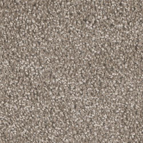 Star Struck in Quail Carpet