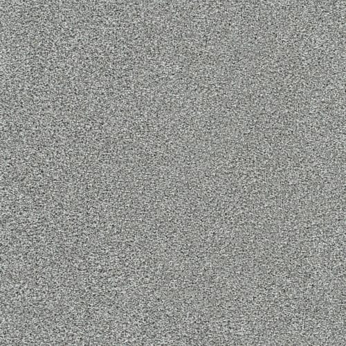 Lucky Penny III in Marcella Carpet