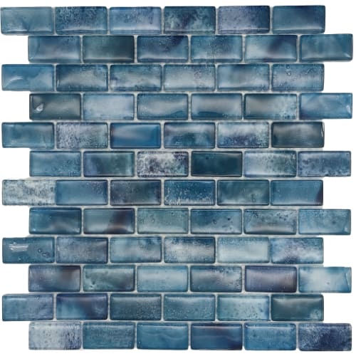 Aqua Savvy in Atlantic Bluefin Tuna 1? X 2? Glass Tile