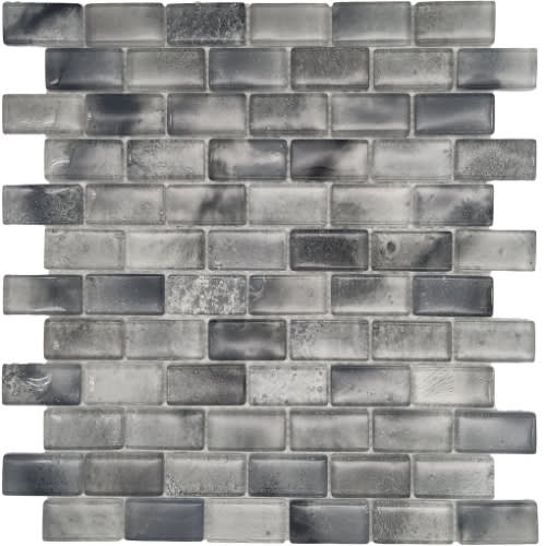 Aqua Savvy in Great Barracuda 1? X 2? Glass Tile
