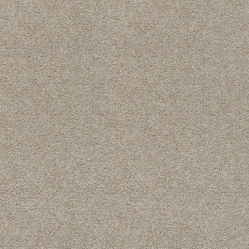 Rock Solid II in Beach Sand Carpet