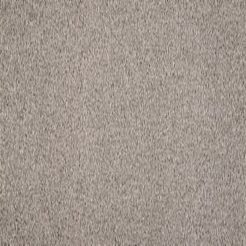 Debonair Invitation in Elegance Carpet