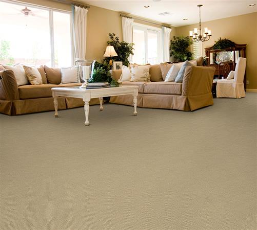 Authentic Living in Stipple Carpet