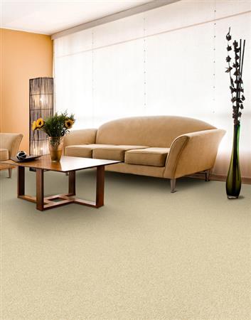 Soft & Silky in Root Beer Carpet
