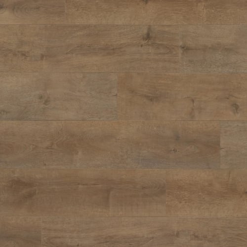 Surge - Archways in London Luxury Vinyl