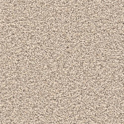 STUNNING in Linen Carpet