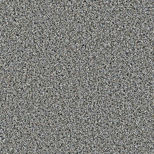 Dazzling in Iron Frost Carpet