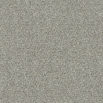 Breakview III in Ambience Carpet