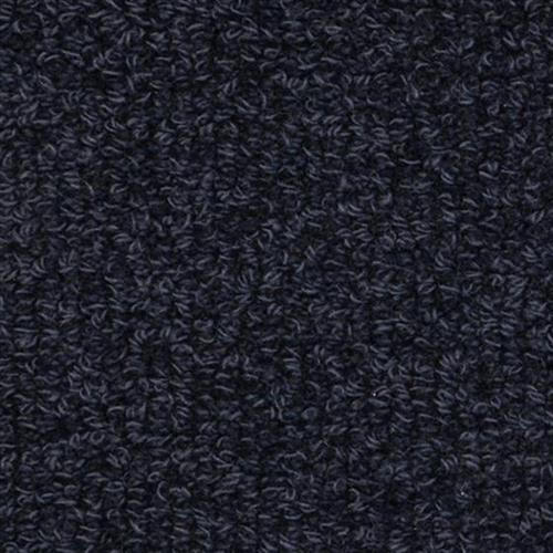 Savant in Willis Carpet