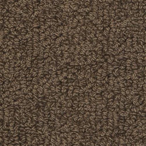 Savant in Clemons Carpet