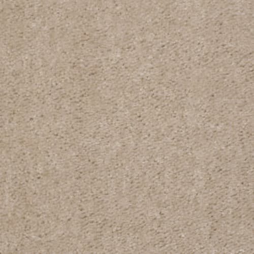 This Is It in Honey Graham Carpet