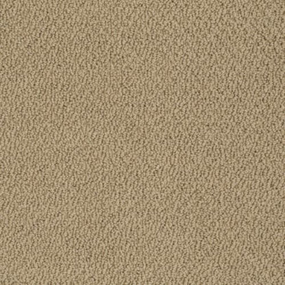 Traditional Elegance in Granola Carpet